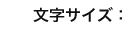 文字サイズ